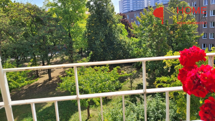 Mieszkanie Sprzedaż Poznań Poznań-Stare Miasto 4