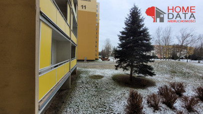 Mieszkanie Sprzedaż Poznań Poznań-Stare Miasto