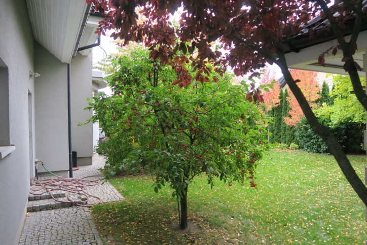 Dom Wynajem Suchy Las 27
