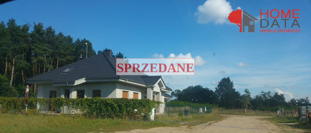 Działka Sprzedaż Daszewice