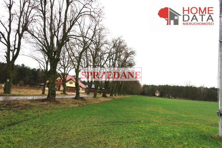 Działka Sprzedaż Jaszkowo 1