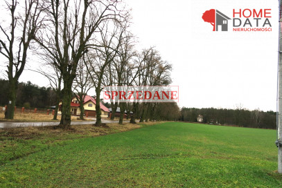 Działka Sprzedaż Jaszkowo