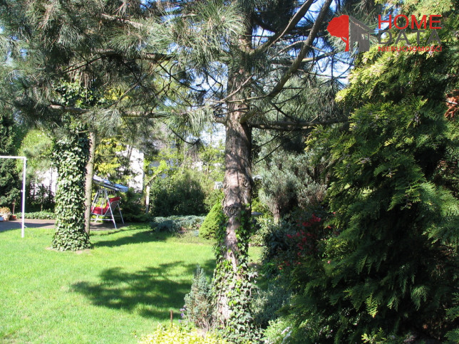 Działka Sprzedaż Poznań Poznań-Grunwald 3