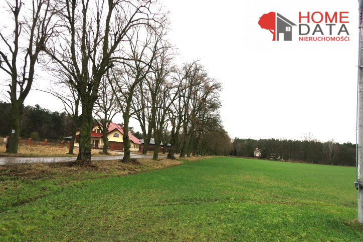 Działka Sprzedaż Jaszkowo 3