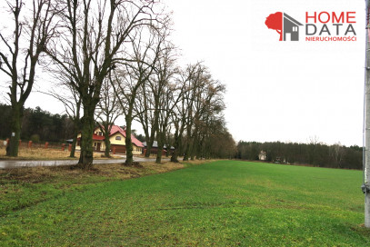Działka Sprzedaż Jaszkowo