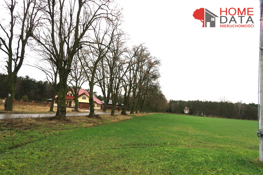 Działka Sprzedaż Jaszkowo