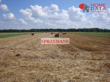 Działka Sprzedaż Będlewo