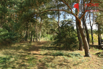 Działka Sprzedaż Daszewice