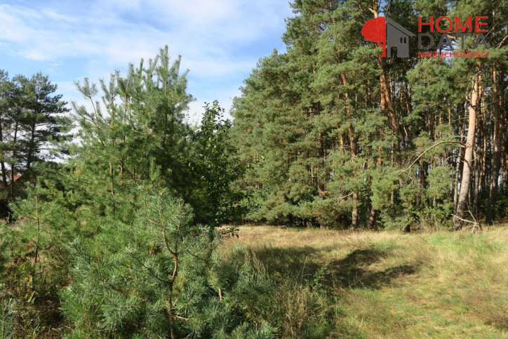 Działka Sprzedaż Daszewice 3