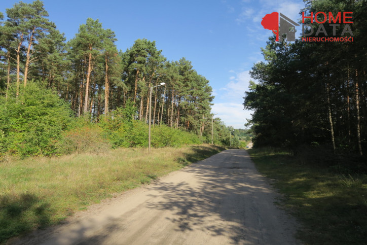 Działka Sprzedaż Daszewice 5