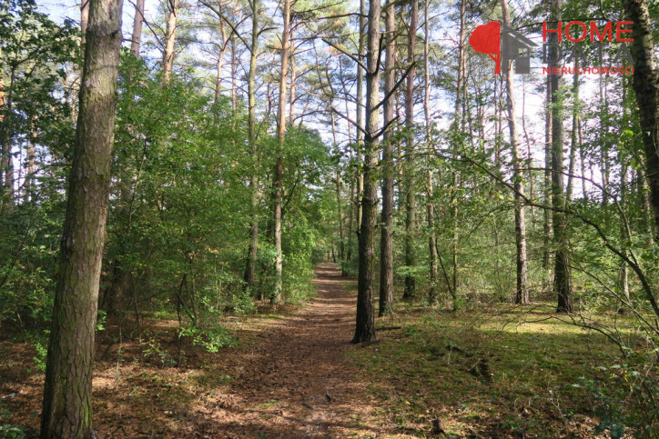 Działka Sprzedaż Daszewice 6