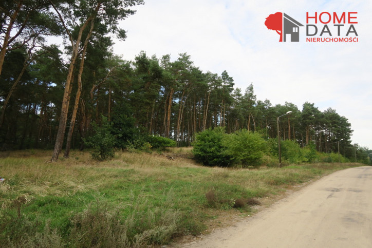 Działka Sprzedaż Daszewice 8