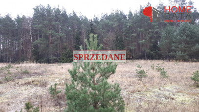 Działka Sprzedaż Wierzyce