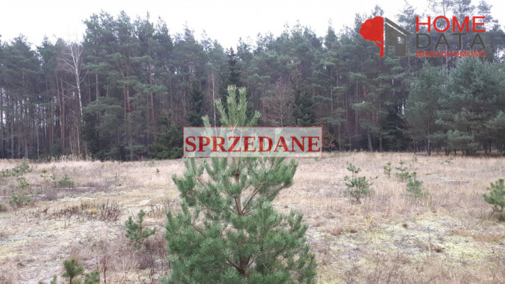 Działka Sprzedaż Wierzyce 1