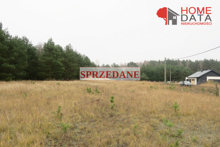 Działka Sprzedaż Wierzyce 1