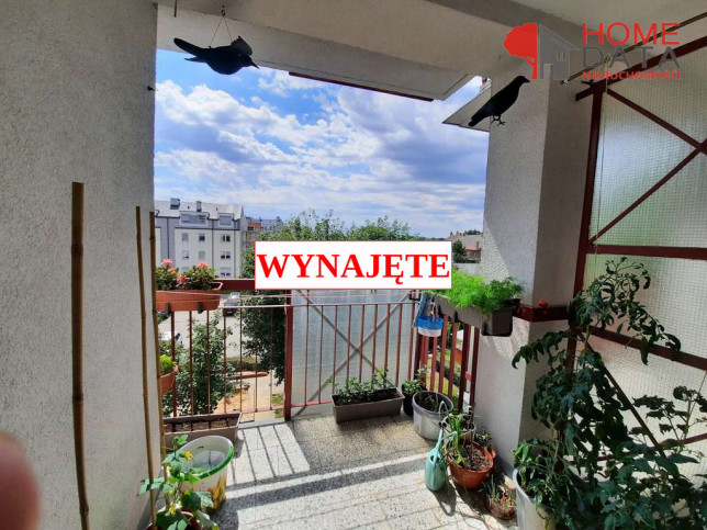 Mieszkanie Wynajem Opalenica 1