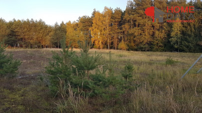 Działka Sprzedaż Wierzyce