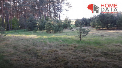 Działka Sprzedaż Kopanki