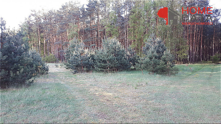 Działka Sprzedaż Kopanki 4