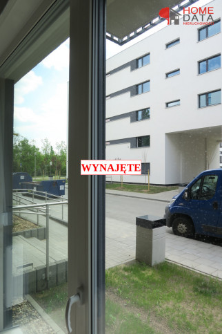 Lokal Wynajem Poznań 5