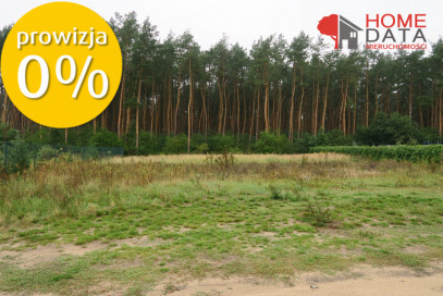 Działka Sprzedaż Daszewice