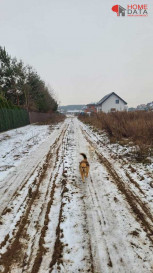 Działka Sprzedaż Siekierki Wielkie Kalinowa
