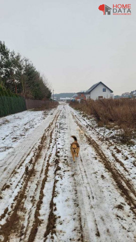 Działka Sprzedaż Siekierki Wielkie Kalinowa 5