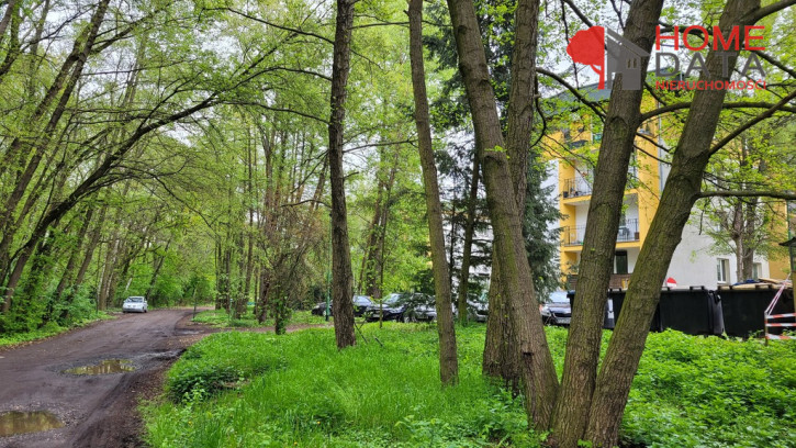 Mieszkanie Sprzedaż Tulce 19