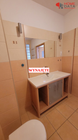 Mieszkanie Wynajem Poznań 7