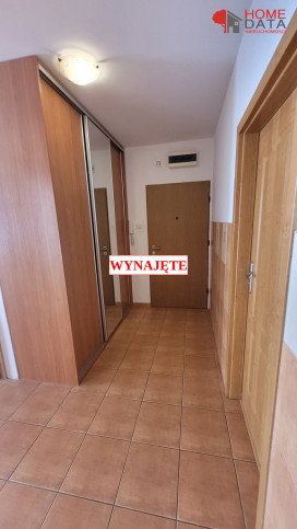 Mieszkanie Wynajem Poznań 8